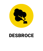 desbroce-3-8